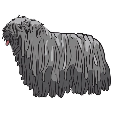 SIGNMISSION Bergamasco Dog Decal, Dog Lover Decor Vinyl Sticker D-12-Bergamasco